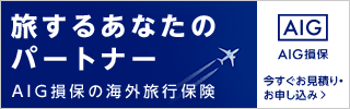 AIG損保 海外旅行保険